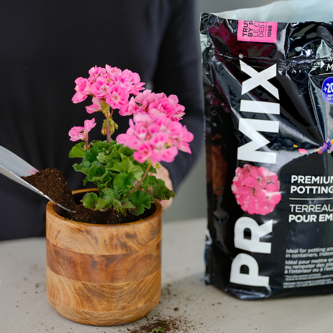 PRO-MIX 9-L Soil Potting Mix for Indoor and Outdoor Plants