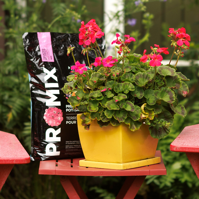 PRO-MIX 9-L Soil Potting Mix for Indoor and Outdoor Plants