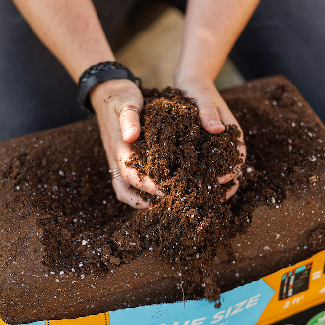 PRO-MIX Premium All-Purpose Soil Potting with MYCOACTIVE Technology - 112-L