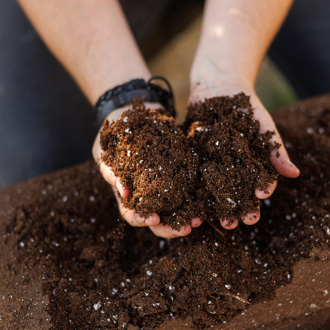 PRO-MIX 17.2-kg Premium Potting Soil Mix