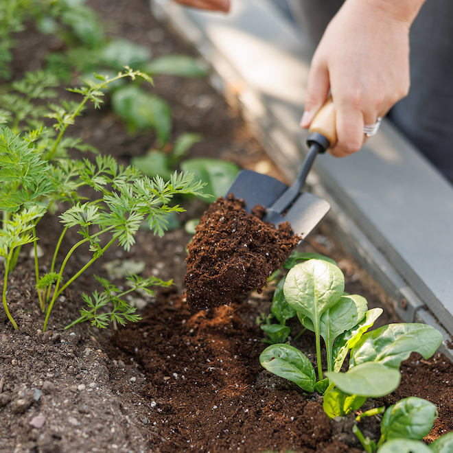 PRO-MIX Premium Organic Vegetable and Herb Mix - 112-L