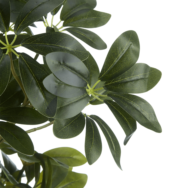 Bouclair 17 x 81 cm Tall Artificial Plant in Cream Ceramic Pot