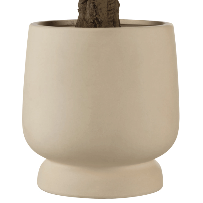 Bouclair 17 x 81 cm Tall Artificial Plant in Cream Ceramic Pot