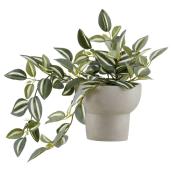 Feuilles tombantes Bouclair 45 x 30 x 22 cm dans un pot en ciment