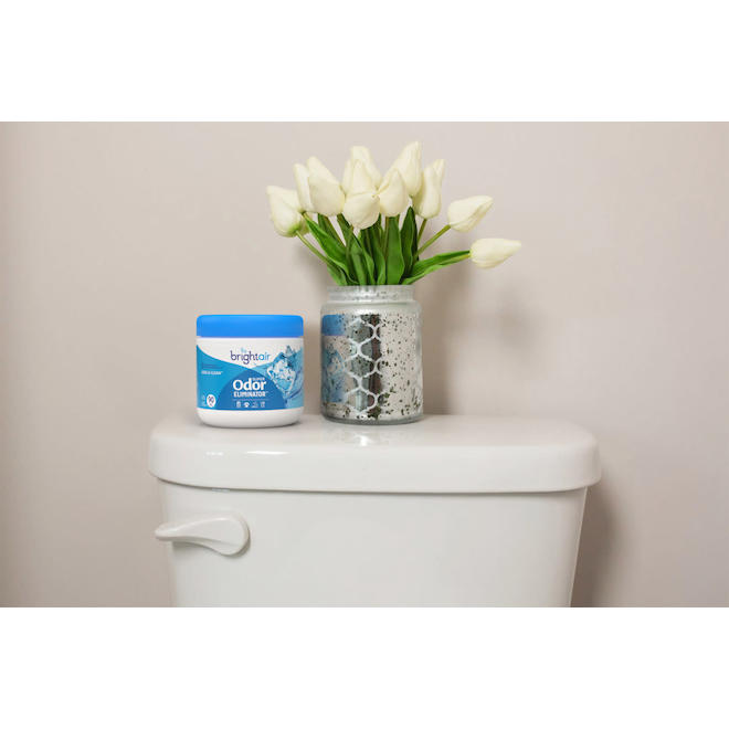 Brightair Super Odor Eliminator in Cool & Clean Scent - 14-oz