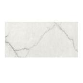 Carreaux de porcelaine polies Calacatta Venitian Aritz Surfaces 24 x 48 po, boîte de 2