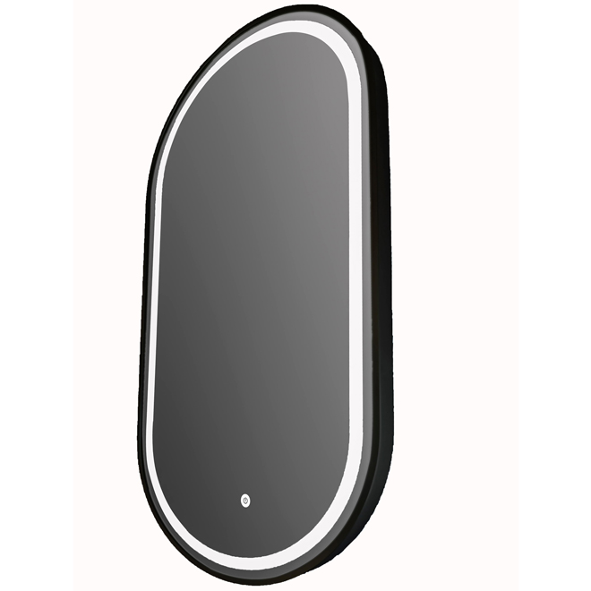 Landon & Co. Vanity Mirror with LED 18 x 36-in - Black