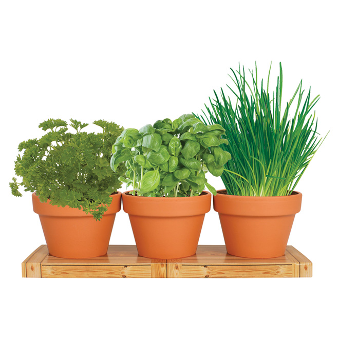 Totalgreen Indoor Kitchen Herb Trio Grow Kit - Bulbs 76703200-1 Totalgreen Indoor Kitchen Herb Trio Grow Kit - Bulbs 76703200-1