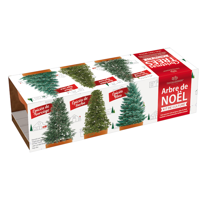 TotalGreen Christmas Tree Grow Kit, 3 Spruces Varieties TRI832UNIT RONA