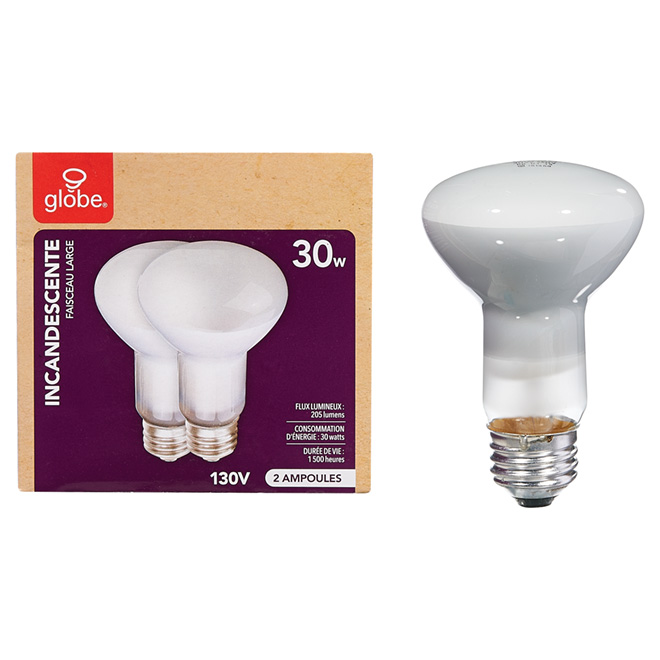 GLOBE ELECTRIC Ampoule incandescente, 2 pk, blanc 84737 RONA