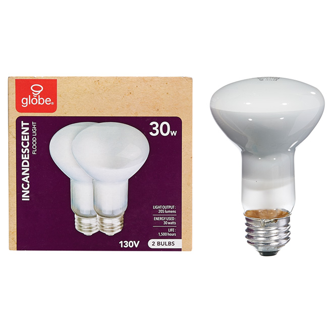 GLOBE ELECTRIC Incandescent Bulb 2 Pk White 84737 RONA