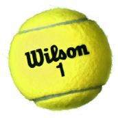 Balles de tennis, championnat, feutre normal, paquet de 3
