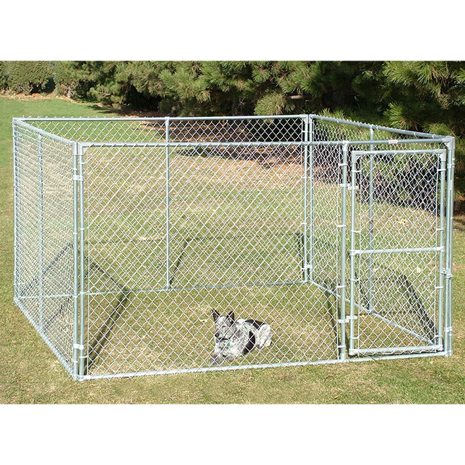 10x10 dog kennel