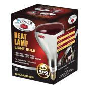 Ampoule infrarouge pour couveuse 250 W, PAR38, rouge