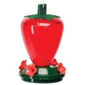 Mangeoire en forme de framboise pour colibri, 28 oz