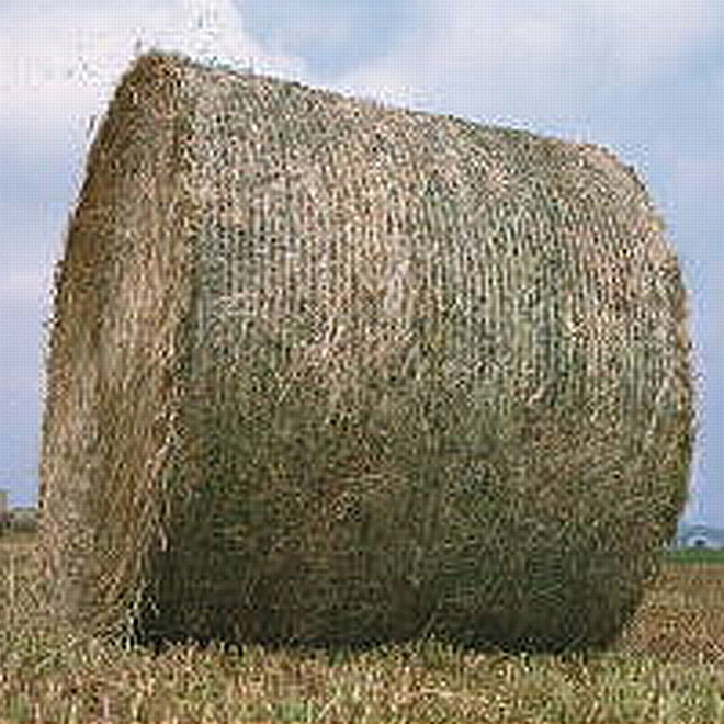 Bale Net Wrap - 1.2 m x 3000 m