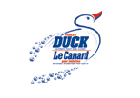 TOILET DUCK
