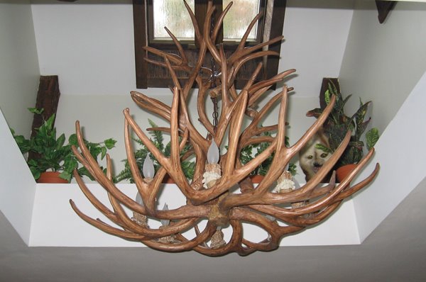 Canadian Antler Designs Reproduction Brown  8-Light Whitetail Antler Chandelier