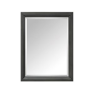 Miroir pour salle de bain Thompson de Avanity, 24