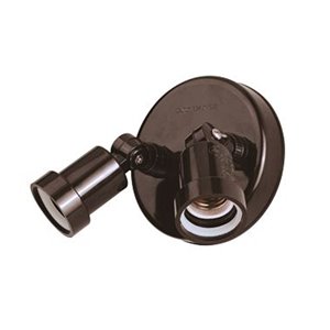 Polycarbonate Adjustable 2-Light Floodlight in Bronze