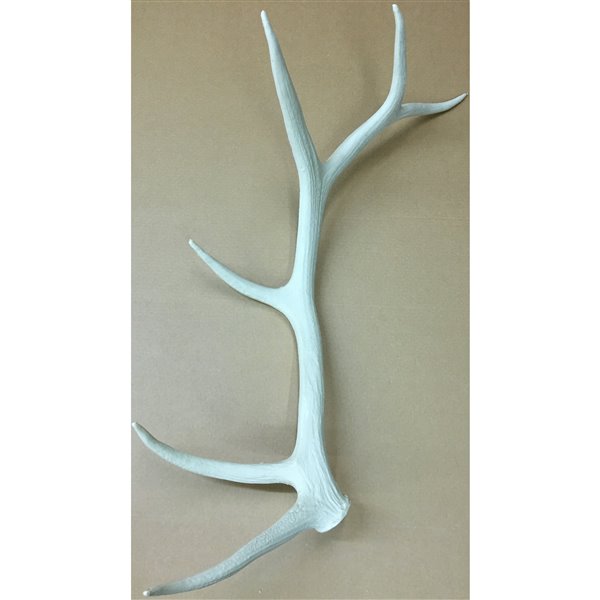 Canadian Antler Designs Reproduction White 20Light Elk Antler