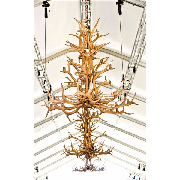 Chandelier en faux bois de wapiti, 20 lumières, brun