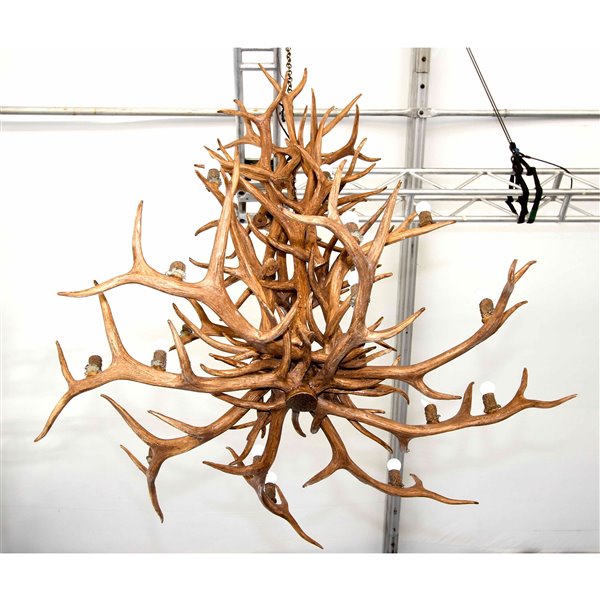 Chandelier en faux bois de wapiti, 16 lumières, brun