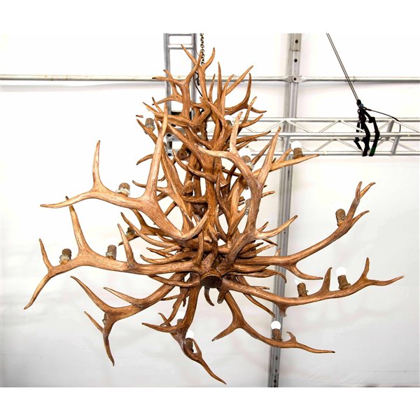 Chandelier en faux bois de wapiti, 16 lumières, brun