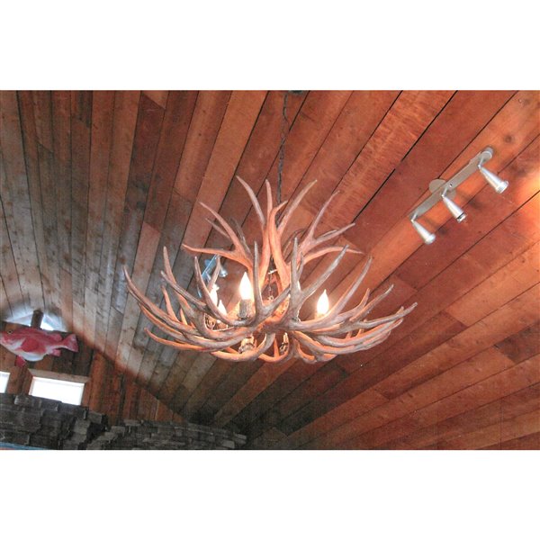 Canadian Antler Designs Reproduction Brown 6-Light Elk Antler Chandelier