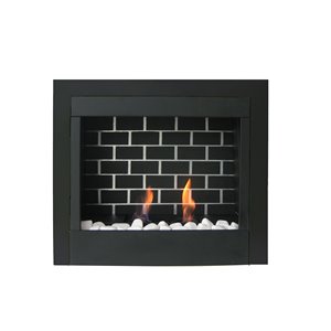Insert de foyer à carburant, 23
