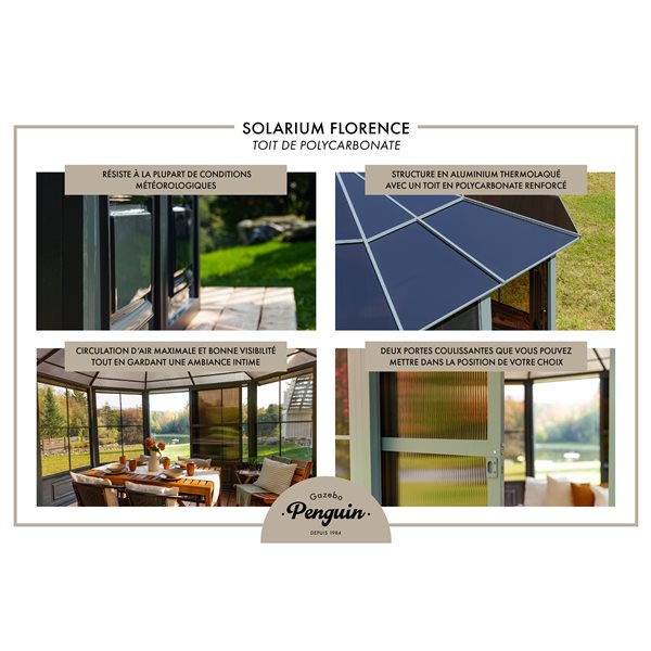 Solarium Florence de Gazebo Penguin métal gris toit polycarbonate permanent 12 pi x15 pi