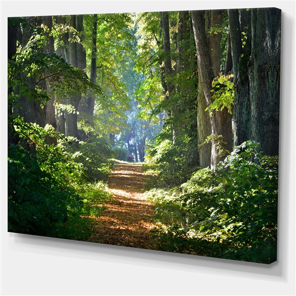 Designart Canada Forest Morning Print on Canvas 30-in x 40-in