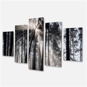 Designart Canada Sunbeams in the Forest 32-in x 60-in 5 Panel Wall Art