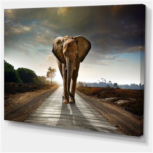 Designart Canada Solitary Elephant Canvas Print 30-in x 40-in