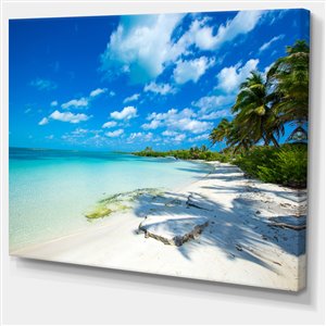 Designart Canada Tropical Beach with Palm Shadows Canvas Print 30-in x 40-in