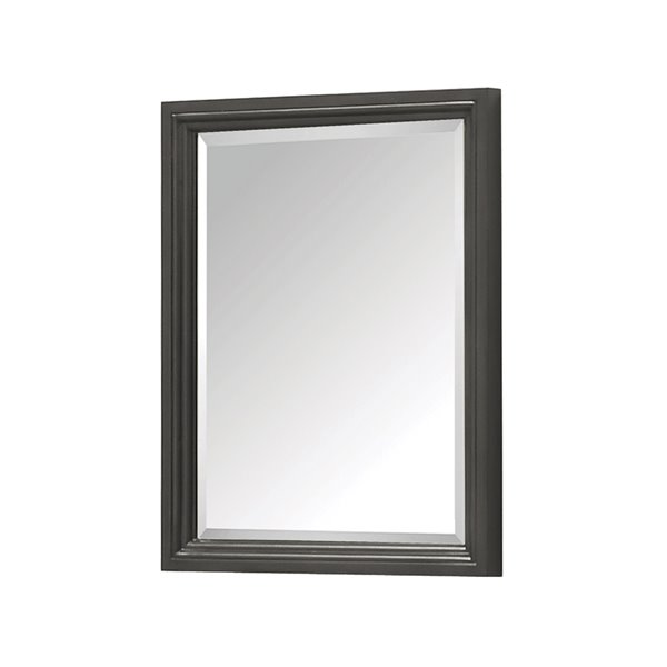 Miroir pour salle de bain Thompson de Avanity, 24 po, charbon