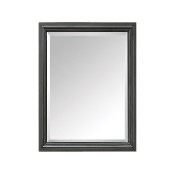 Miroir pour salle de bain Thompson de Avanity, 24 po, charbon