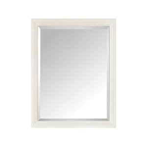 Miroir pour salle de bain Thompson de Avanity, 24 po, blanc