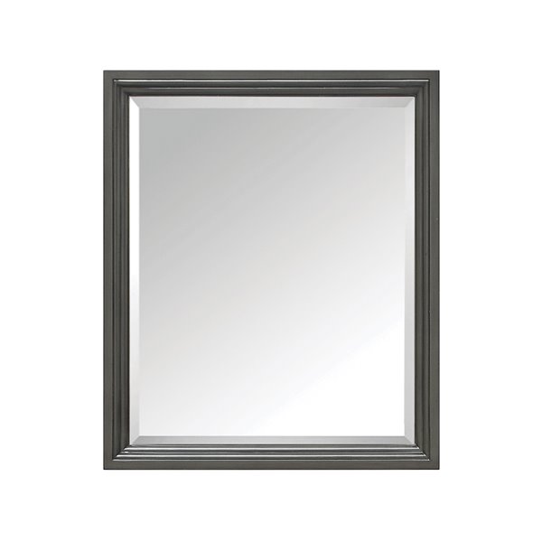 Miroir pour salle de bain Thompson de Avanity, 28 po, charbon