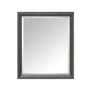 Miroir pour salle de bain Thompson de Avanity, 28 po, charbon