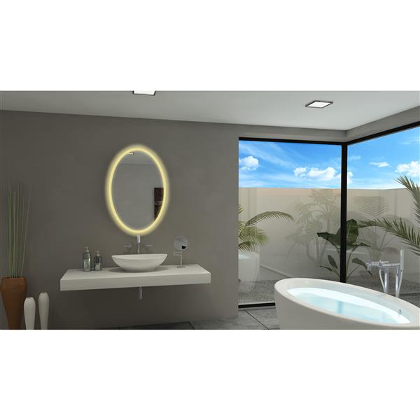 Paris Mirror Original 24-in x 36-in 3000K Oval Backlit Mirror