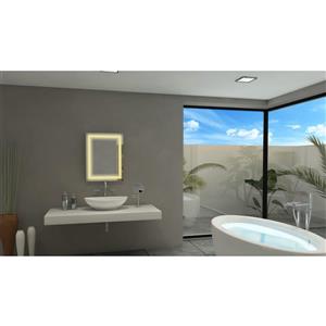 Paris Mirror 20-in x 26-in 3000 K 24 V LED Lighting Miror