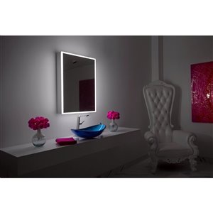 Paris Mirror 24-in x 32-in LED Lighting Medicine Cabinet