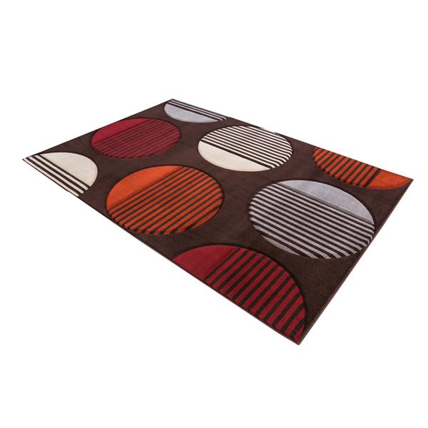 Segma Reflections 5ft x 8ft Petunia Brown Area Rug RONA