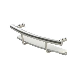 Invisia Collection Brushed Stainless Shampoo Shelf and Support Bar