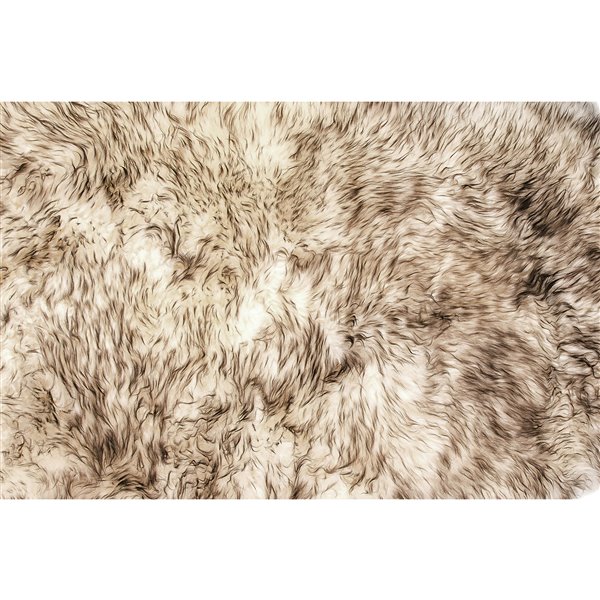 Natural by Lifestyle Brands 5-ft x 6-ft Chocolate New Zealand Sexto Sheepskin Rug