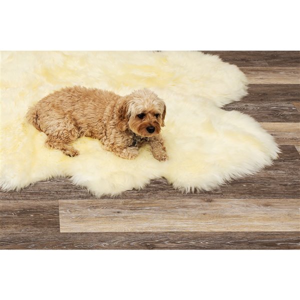 Tapis Six en peau de mouton ,5 pix 6 pi, naturel