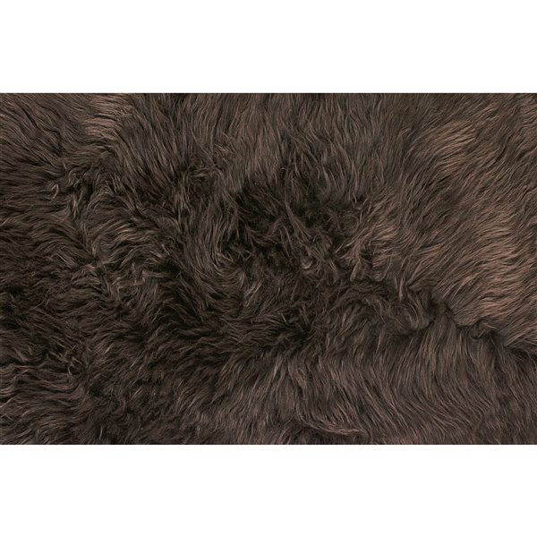 Natural by Lifestyle Brands Natual 4-ft x 6-ft Chocolate New Zealand Quattro Sheepskin Rug