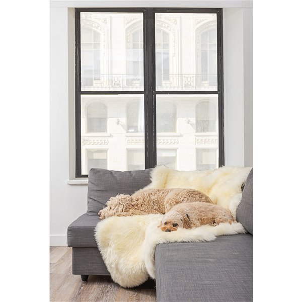 Natural by Lifestyle Brands 4-ft x 6-ft Natural New Zealand Quattro Sheepskin Rug