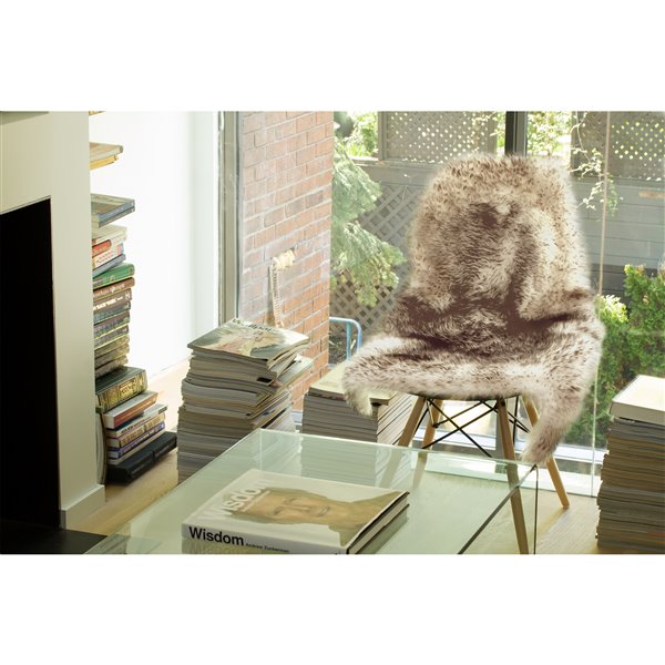 Natural by Lifestyle Brands 2-ft x 3-ft Chocolate New Zealand Single Sheepskin Rug